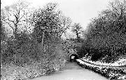 The western portal of Hagg Tunnel which took the canal under the ridge of land between what is now the Transco depot and Stevenson's Dye Works. It is thought to be still intact, although both ends are blocked off. (Photo - Peter Stevenson)