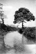 Our Chairman, Patrick Morriss, says of this picture: "The picture is taken just East of the current A610 embankment looking east towards the Butterley Tunnel. The chimney was in the yard of the Butterley company and was demolished in c1959 The pit tips are Haslam's (Pentrich) which shut in 1944 and were reclaimed about 25 years ago They had an overhead cableway with buckets to drop spoil on the heaps and the pit head was where Geesons scrapyard is now. The large Sycamore tree is still there except even bigger!"