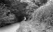 This view of the tunnel at Buckland Hollow can still be seen from the car park of the Excavator pub  but the canal is infilled as part of that car park