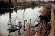 This idyllic scene shows the donor's brother (51 in March 2003) feeding swans adjacent to his parent's house in the late 60's, with the old A610 bridge in background. (donated by Patrick Morriss)