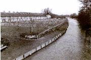 This 1979 photo shows the restored section of canal by the Stone Row at Golden Valley, taken when the cottages had just been restored. Thirty-odd years on, the cultivation of the gardens and trees has totally obscured this view. Also, the bridge this was taken from, though still standing, has now been condemned as unsafe and closed