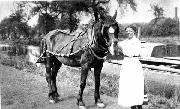 A fine lady with a fine horse, at Langley Mill - but where exactly? We think the chimney (far right) is part of Beggarlee colliery, and there is a small hut on the offside, far left