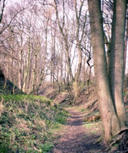 A tramroad near Golden Valley; more details on exact location appreciated (1978)