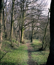 A tramroad near Golden Valley; more details on exact location appreciated (1978)