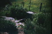 Stop planks on feeder (?), said to be at Bullbridge (1963)