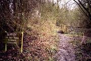 The line of the former Ambergate & Pye Bridge railway which might possibly be used as an alternative route for the restored canal to save disrupting the various gardens now on the original canal line.