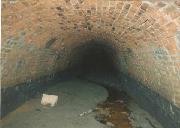 This picture was taken in 1998 during a very dry spell, through the grille at Golden Valley at the eastern end of the tunnel.