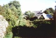 The Canal by Pottery Lock, in Ironville, is barely visible because of the undergrowth.