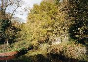 The cottage at the entrance to the Nightingale Arm is now almost completely overwhelmed by vegetation. (Peter Stone)