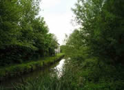 The Pinxton Arm