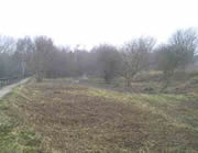 The cleared site...