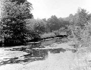 Cromford Wharf as found in late 60s. The small warehouse is behind the trees to the left. Note the brand new work punt that was suddenly unloaded by BWB (called the 'Lea Wood') by way of claiming possession of the canal. It disappeared just as suddenly!