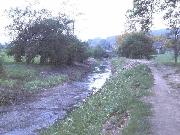 The bed of canal is cleared by the Smith 14 excavator driving along the bottom. The mud is disposed on both sides. (ADS)