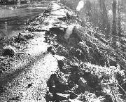 The OTHER point at which the water overtopped the bank on 25th February 1989. This was about 350 yards east of the first point above, roughly 300 yards west of the Gregory Tunnel. No steel piles had been inserted here, with the result that the towpath nearly went completely!