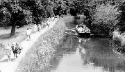 A routine weekend excursion of the "John Gray", seen here approaching Bridge 1 from Leawood. The horse is 'Tina', so the photo was taken c.1987. Note the well kept towpath and cut reeds, as well as the wide channel following re-dredging with the floating machine.