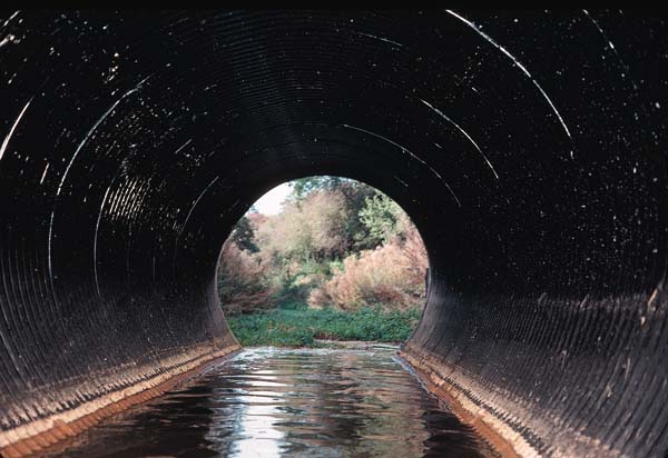 Road extension, "literally only 20 yards"