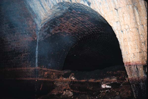 Wide hole, connecting tunnel, base dry inside, appears to curve to left.