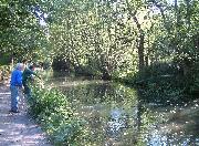 More reed clearance work with DCC Rangers