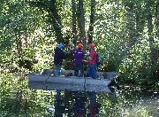 Pruning trees with a pole saw from a work boat on the far side of the canal. The trick here is not to fall in!