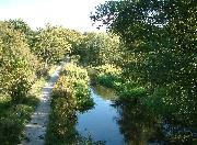 The undergrowth is rapidly filling the canal in this shot. Without constant management, the canal would vanish very quickly!