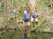 Even some serious tree-felling is tackled by the work parties.