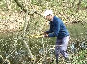 Clearance of fallen branches in the canal