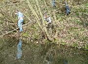 Removal of tree growth in the canal wall. Such growth, if unchecked, will eventually breach the canal!