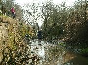 Not just rubbish, but fully-grown trees have to be removed from the bed of the canal.