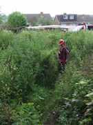 Volunteers have to fight their way through the undergrowth to the site compound