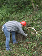 At the opposite end to the previous photo, the wall is a lot more derelict and the greenery much more stubborn. Here Tina works to clear our start point for rebuilding