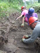 Not an archaelogical dig, volunteers are starting to dig down into the wall to find the base