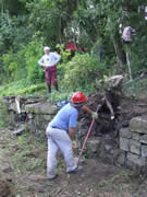 Tiforing begins to remove the tree roots that have grown into the wall - behind the route is FCCs own Eric Singleton, who had joined us on site for a day