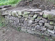 Because the camp was only a week long, we knew we wouldn't be able to finish - so some of the holes created by removing tree roots were temporarily filled with stone