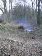 Also, some more scrub clearance takes place