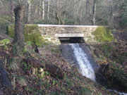 The final weir, as completed by DCC in November 2012. Photo: George Rogers