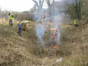 Volunteers at Work